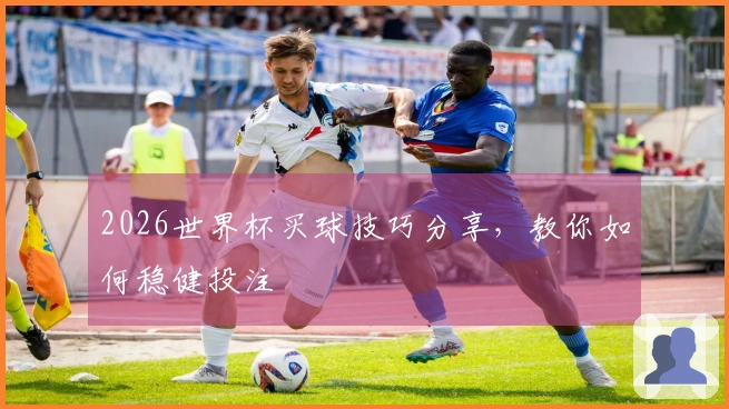 2026世界杯买球技巧分享，教你如何稳健投注