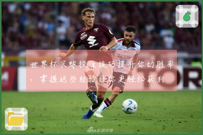 世界杯买球投注技巧提升你的胜率，掌握这些经验让你更轻松获利