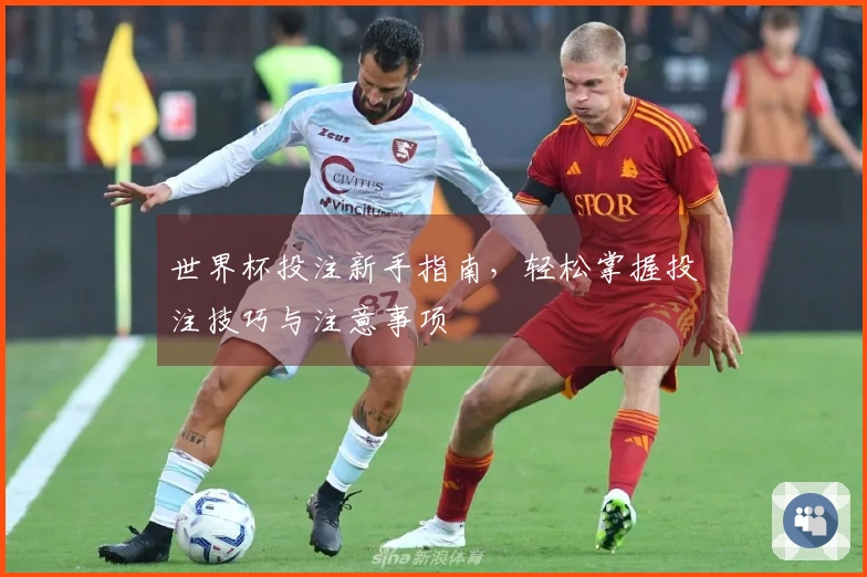 世界杯投注新手指南，轻松掌握投注技巧与注意事项