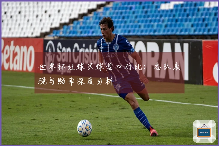世界杯让球买球盘口对比：各队表现与赔率深度分析
