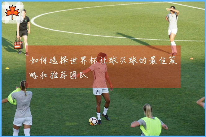 如何选择世界杯让球买球的最佳策略和推荐团队