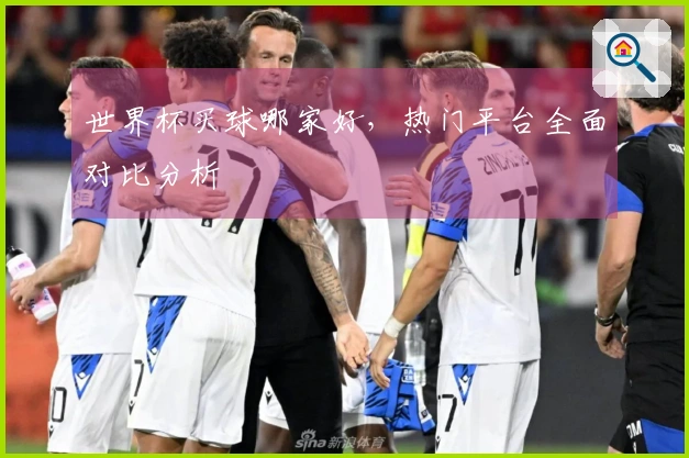 世界杯买球哪家好，热门平台全面对比分析