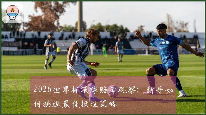 2026世界杯滚球赔率观察：新手如何挑选最佳投注策略
