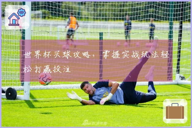 世界杯买球攻略，掌握实战玩法轻松打赢投注