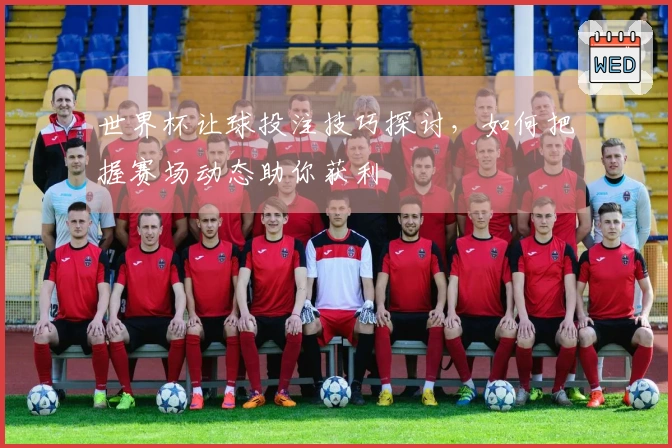世界杯让球投注技巧探讨，如何把握赛场动态助你获利