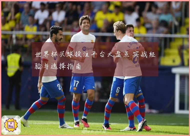 世界杯买球投注平台大盘点 实战经验与选择指南