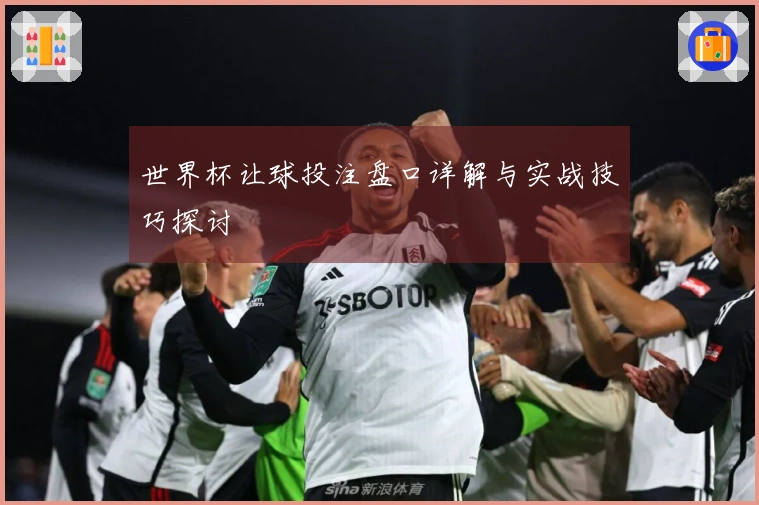 世界杯让球投注盘口详解与实战技巧探讨
