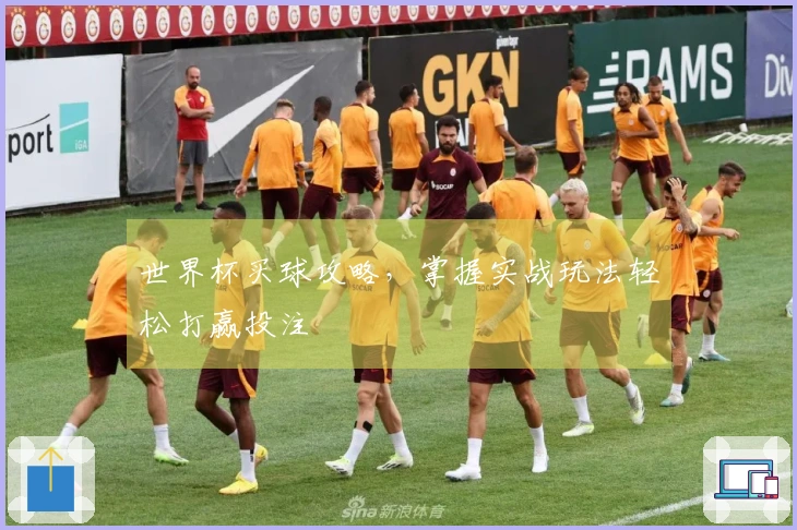 世界杯买球攻略，掌握实战玩法轻松打赢投注