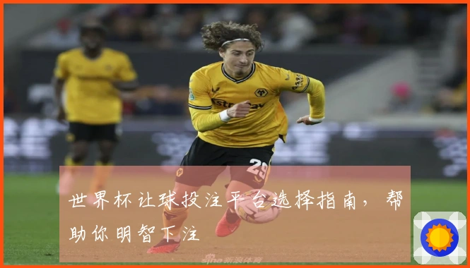 世界杯让球投注平台选择指南，帮助你明智下注