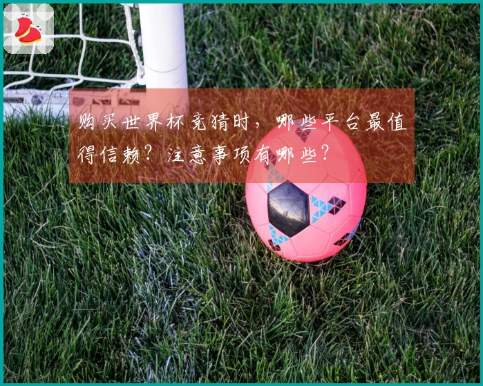购买世界杯竞猜时，哪些平台最值得信赖？注意事项有哪些？