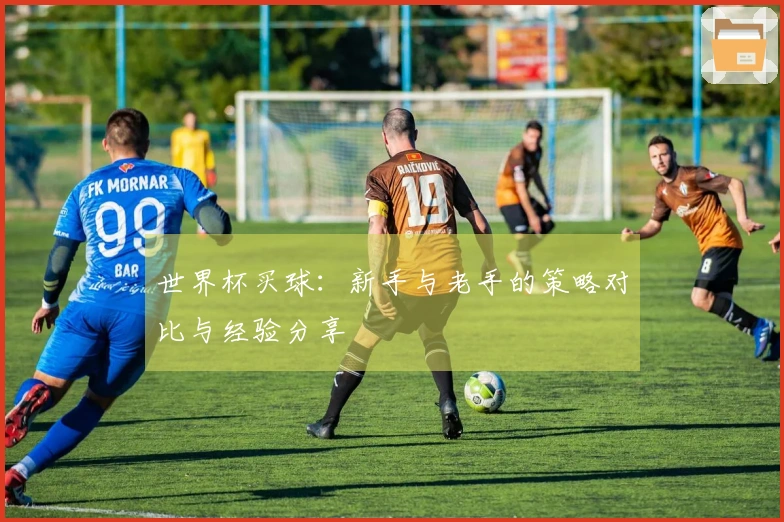 世界杯买球：新手与老手的策略对比与经验分享