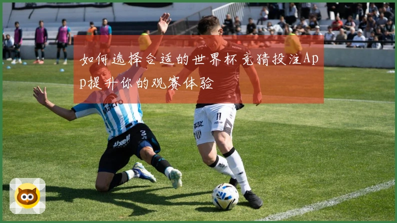 如何选择合适的世界杯竞猜投注App提升你的观赛体验