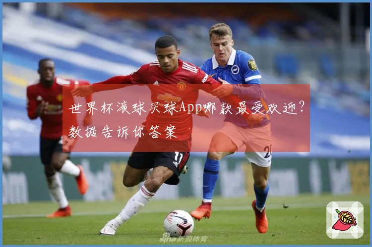 世界杯滚球买球App哪款最受欢迎？数据告诉你答案