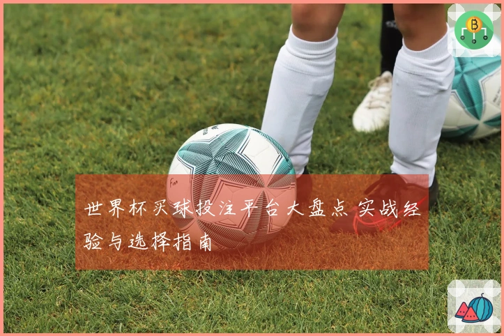 世界杯买球投注平台大盘点 实战经验与选择指南