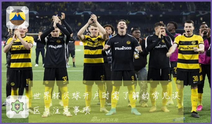 世界杯买球开户时需了解的常见误区与注意事项