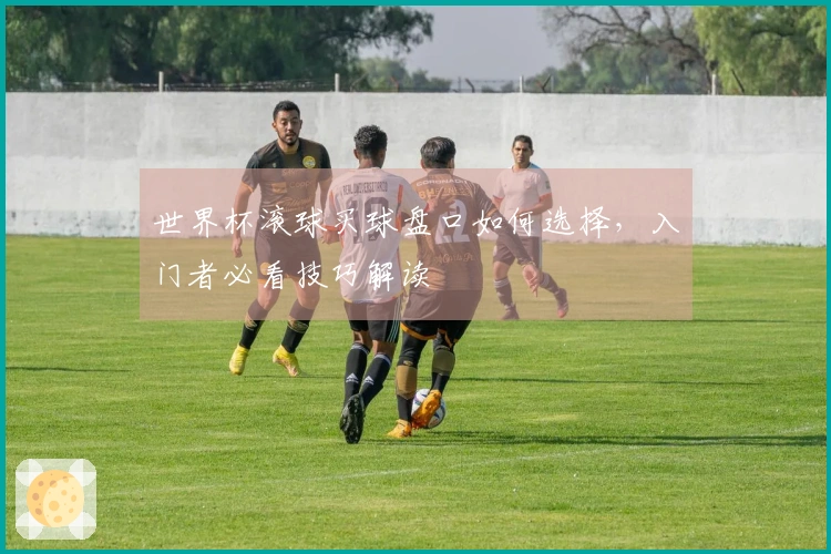 世界杯滚球买球盘口如何选择，入门者必看技巧解读