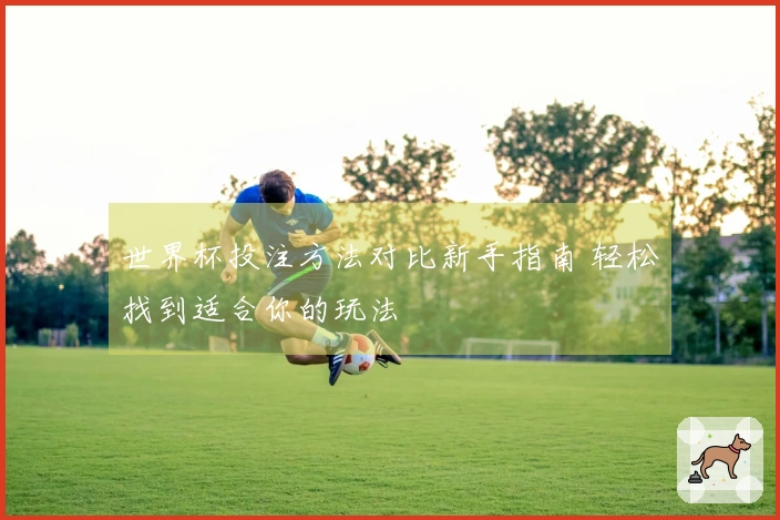 世界杯投注方法对比新手指南 轻松找到适合你的玩法