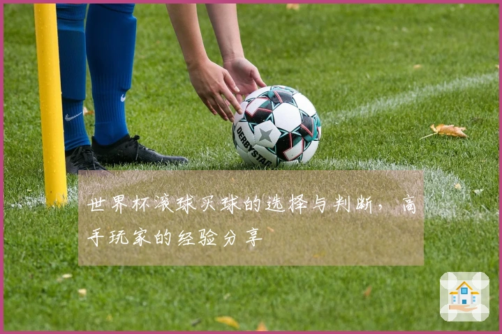 世界杯滚球买球的选择与判断，高手玩家的经验分享