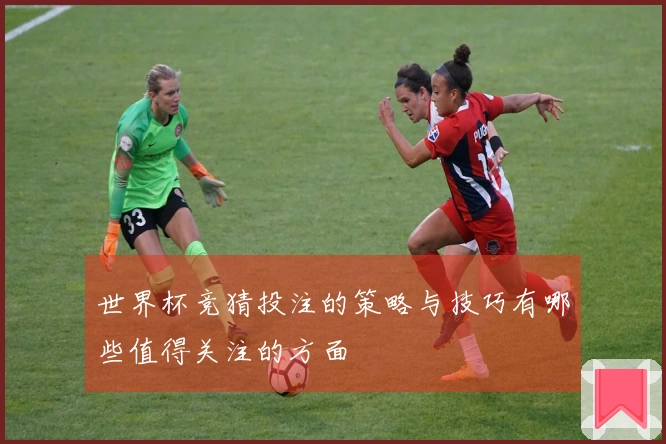 世界杯竞猜投注的策略与技巧有哪些值得关注的方面