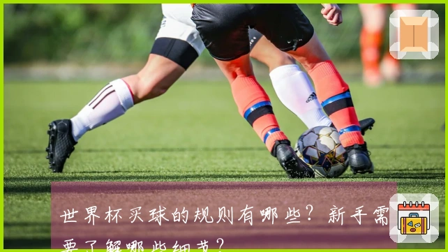 世界杯买球的规则有哪些？新手需要了解哪些细节？