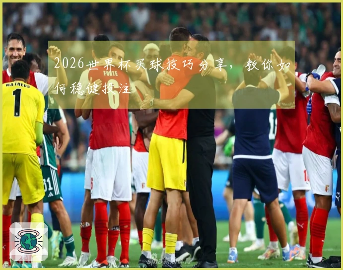 2026世界杯买球技巧分享，教你如何稳健投注