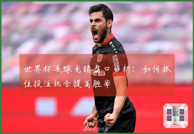 世界杯滚球竞猜盘口分析：如何抓住投注机会提高胜率